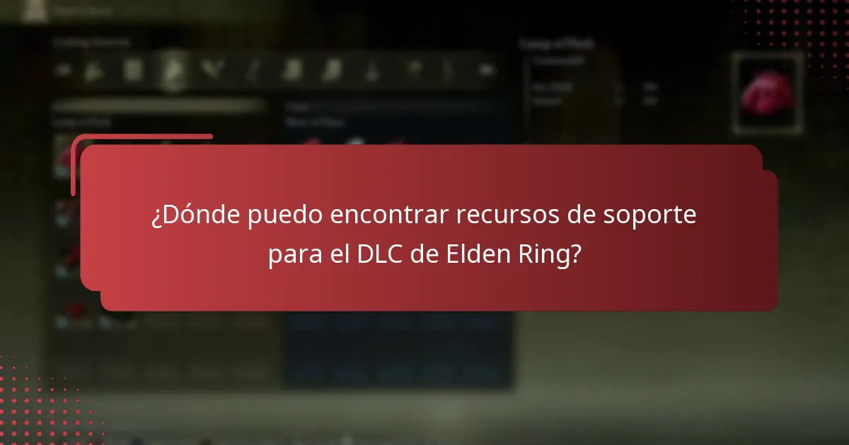 ¿Qué plataformas tienen problemas específicos con el DLC?